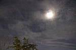 20161827 YujinKim.jpg 20161827 YujinKim.jpg